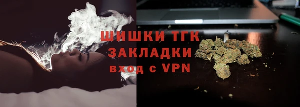 гашик Балахна