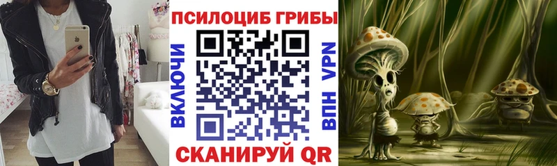 Галлюциногенные грибы Magic Shrooms  Купить  Донской 